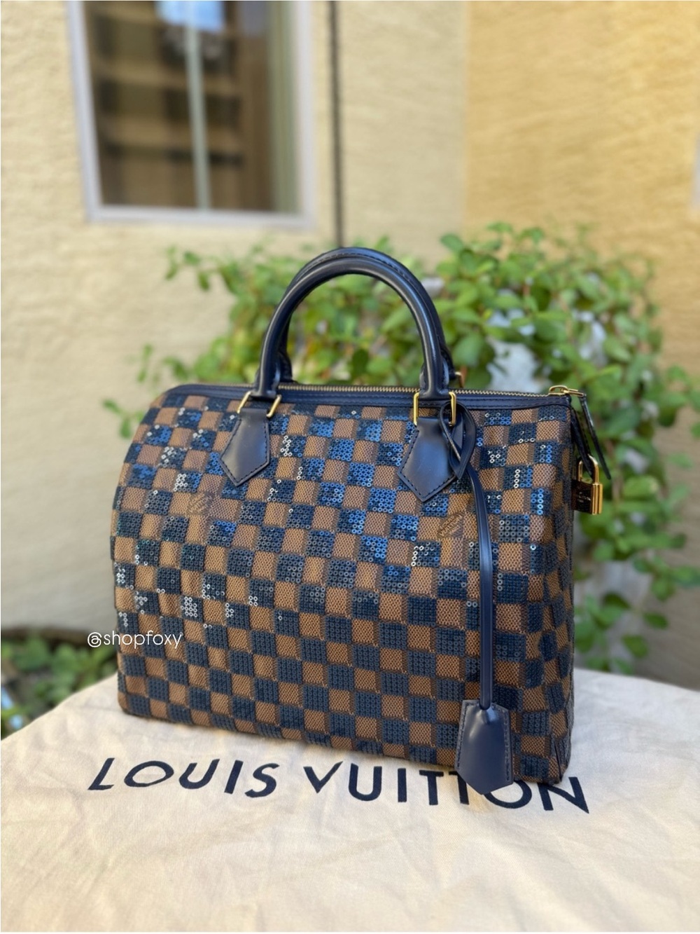 Louis Vuitton Damier Paillettes Speedy 30 - Picture 2 of 16